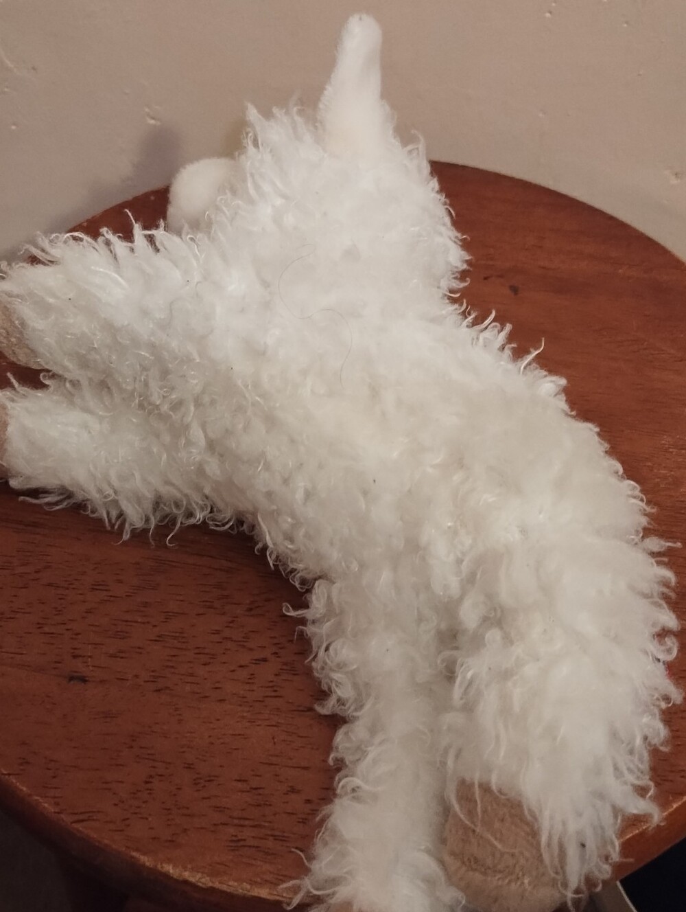 Douglas Plush White Lamb - Picture 6 of 6